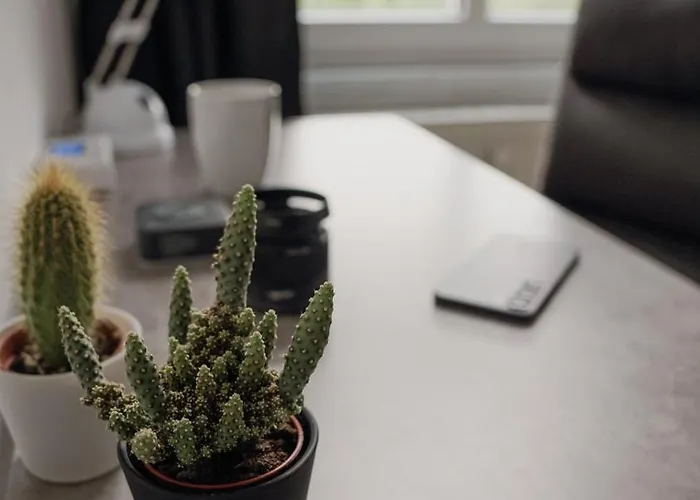 *neu*family&work*wlan*ntflx*cozy*zentrum*toplage Chemnitz